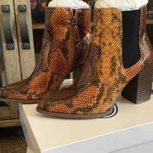 Scoop. Brown snake booties. Block heel. Size-7.5